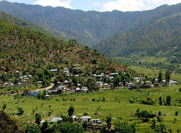 Janjehli