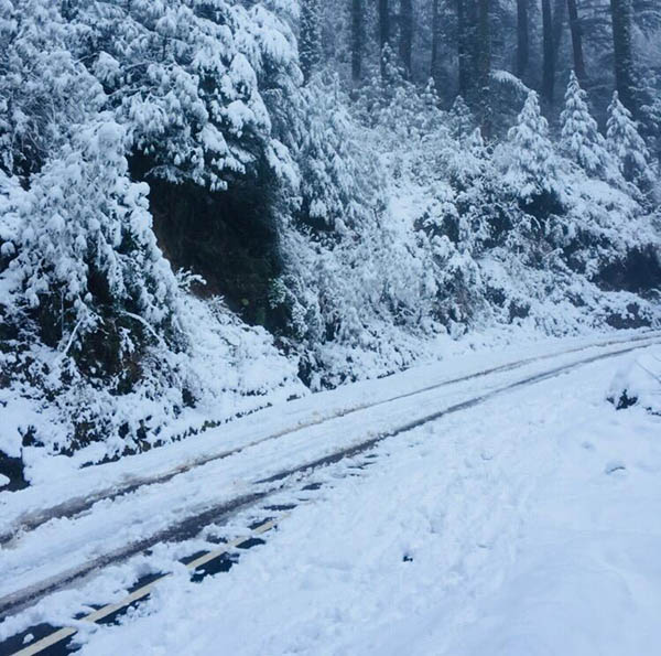 Himachal News: Movement of vehicles will start from Shinkula Pass after five months, administration has prepared the timetable.