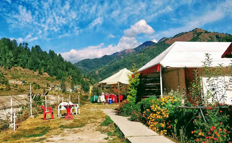 Himachal: Tikkan market still on paper, Chauhar farmers sell at a loss
